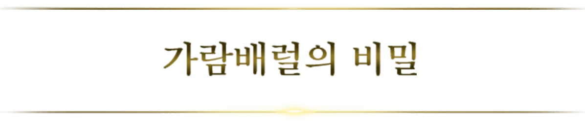 가람배럴의 비밀