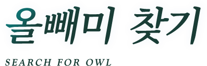 올빼미 찾기 Owl Find You